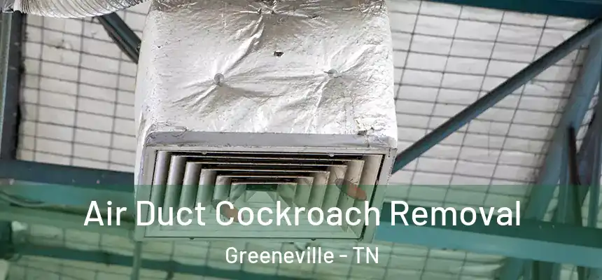  Air Duct Cockroach Removal Greeneville - TN