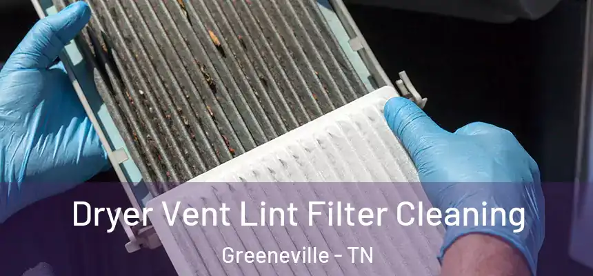  Dryer Vent Lint Filter Cleaning Greeneville - TN