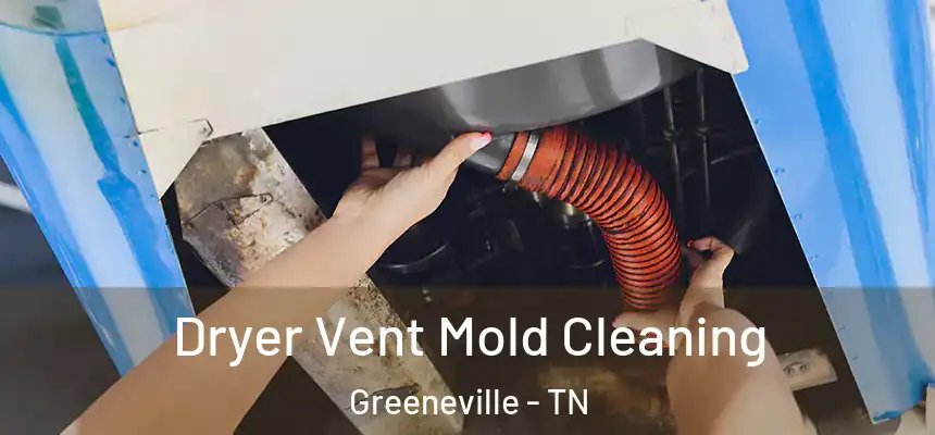  Dryer Vent Mold Cleaning Greeneville - TN