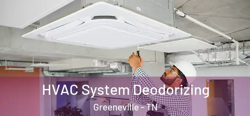  HVAC System Deodorizing Greeneville - TN