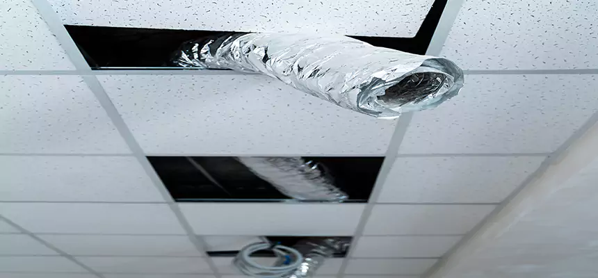 Our Air Duct Pet Hair Removal Services in Greeneville, TN