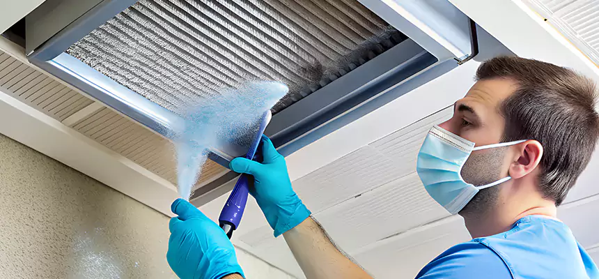 Proactive Dryer Vent & Auxiliary Duct Pollen Cleanup in Greeneville, TN
