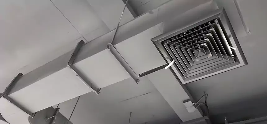 Restorative Allergy Relief Vent Cleaning – Coil, Blower & Housing Detail in Greeneville