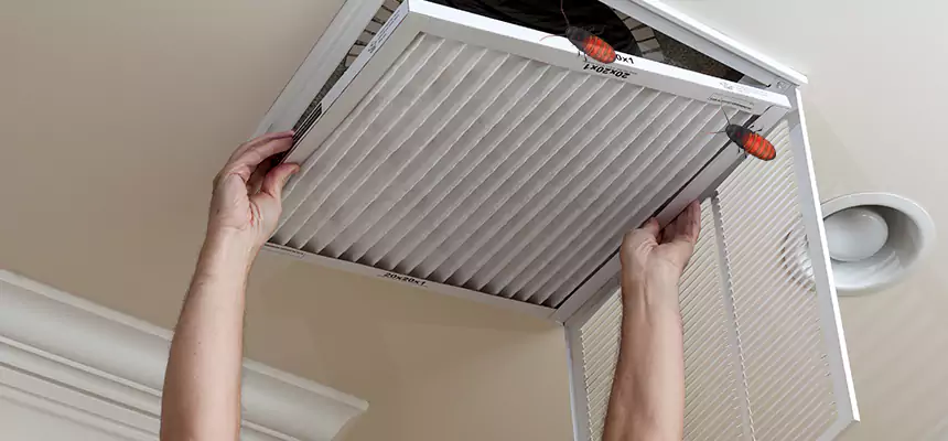 Our Insect Removal from Air Ducts Services in Greeneville, TN