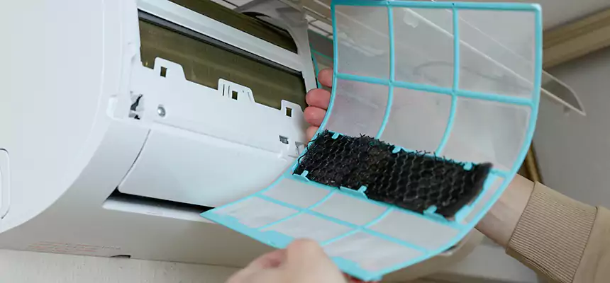 Gentle Ductwork Odor-Control Pet Dander Duct Cleaning in Greeneville, TN