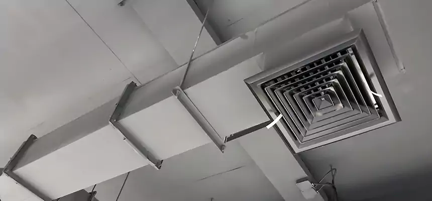 Our Rodent Droppings In Vents Services in Greeneville, TN