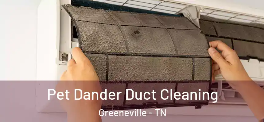 Pet Dander Duct Cleaning Greeneville - TN