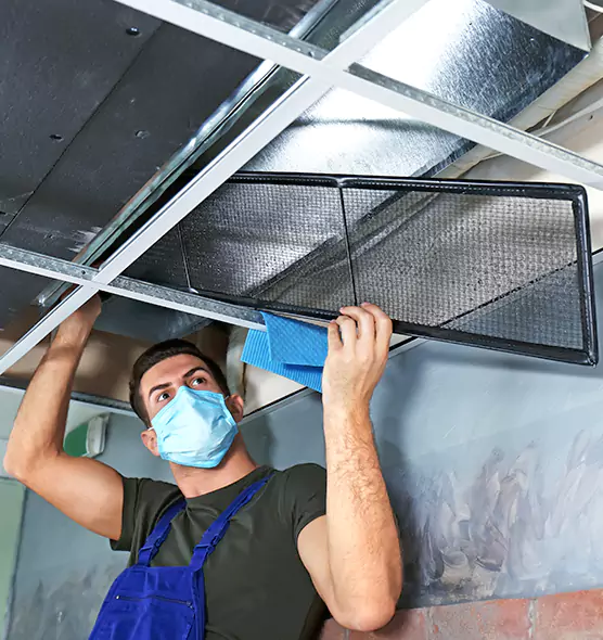 About Air Duct Bacteria Removal in Greeneville