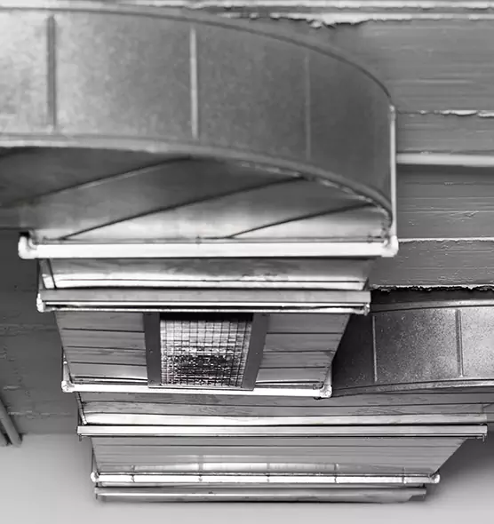 Professional Air Duct Pest Removal in Greeneville, TN