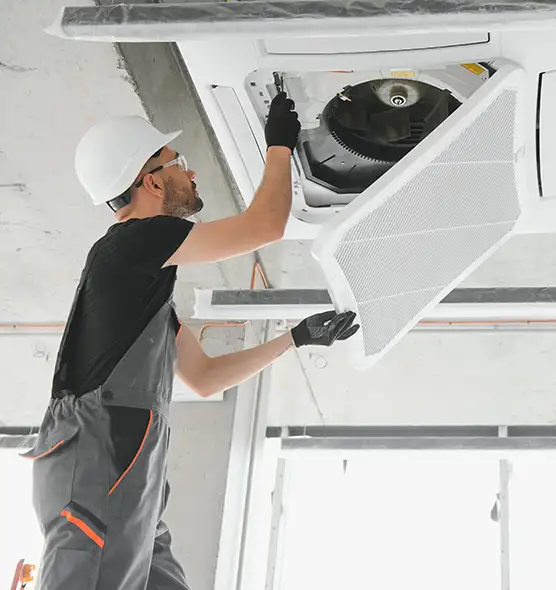 About Air Duct Rodent Removal in Greeneville, TN