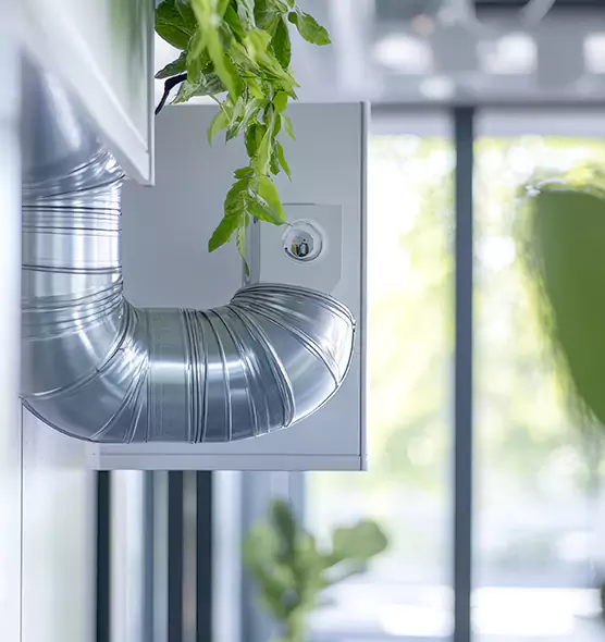 Professional Eco-Friendly Duct Cleaning Services in Greeneville, TN