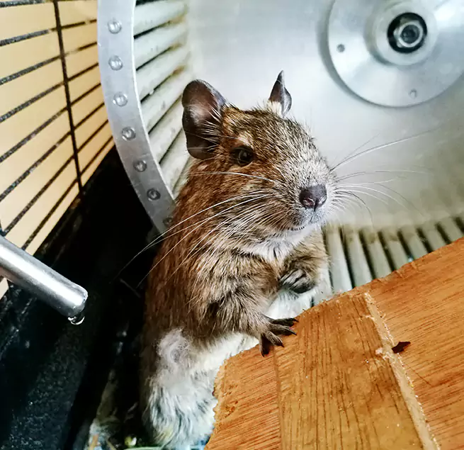 Why Homeowners & Businesses Trust Us Greeneville, TN