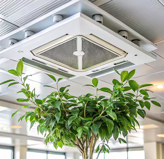 Why Homeowners & Businesses Trust Us in Greeneville, TN?